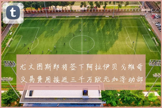 尤文图斯即将签下阿拉伊贝戈维奇交易费用接近三千万欧元加浮动部分